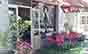 BigPhoto Photo_mazaline_696_1_PPResponsiveMini.jpg